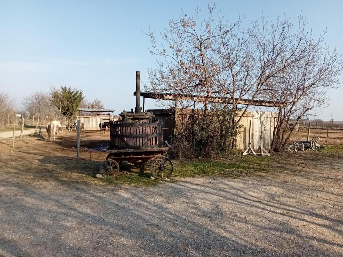 Le Mas Palegry Chambres D'Hotes Perpignan Exterior foto