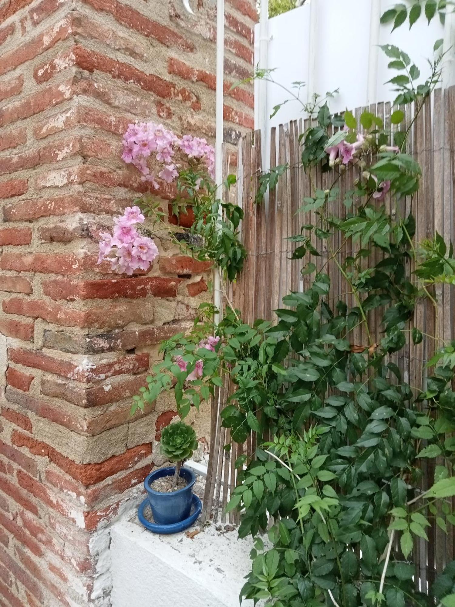 Le Mas Palegry Chambres D'Hotes Perpignan Exterior foto